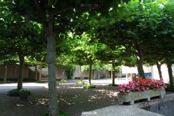velbert-neviges-mariendom-023