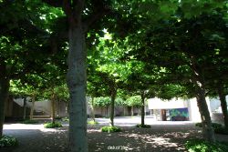 velbert-neviges-mariendom-024