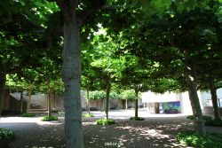 velbert-neviges-mariendom-025