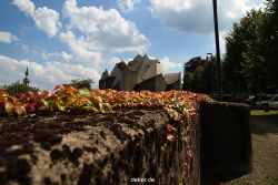 velbert-neviges-mariendom-206