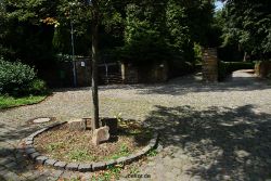 velbert-neviges-mariendom-208