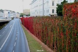 wuppertal-doeppersberg-umbau-busauffahrt-014