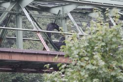 wuppertal-schwebebahnumbau-umbau-landgericht5-147
