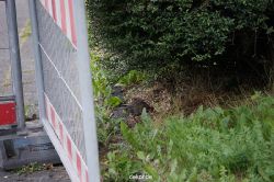 wuppertal-doeppersberg-abriss-busauffahrt-070