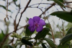 wuppertal-hardt-botanischer-garten-2013-002