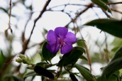 wuppertal-hardt-botanischer-garten-2013-004