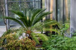 wuppertal-hardt-botanischer-garten-2013-006