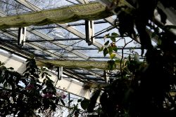 wuppertal-hardt-botanischer-garten-2013-015
