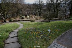 wuppertal-hardt-botanischer-garten-2013-041