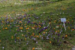 wuppertal-hardt-botanischer-garten-2013-042