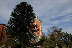 wuppertal-hardt-botanischer-garten-2013-044