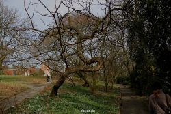 wuppertal-hardt-botanischer-garten-2013-047