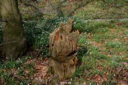 wuppertal-hardt-botanischer-garten-2013-048