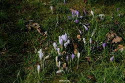 wuppertal-hardt-botanischer-garten-2013-050