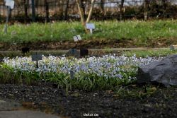 wuppertal-hardt-botanischer-garten-2013-059
