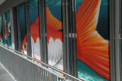 wuppertal-wupperweg-014