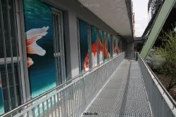 wuppertal-wupperweg-016