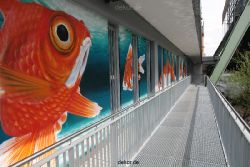 wuppertal-wupperweg-018