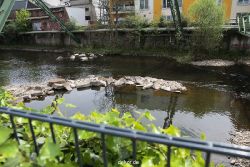 wuppertal-wupperweg-031