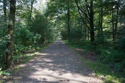 wuppertal-barmer-anlagen-039