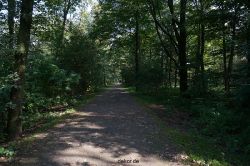 wuppertal-barmer-anlagen-040