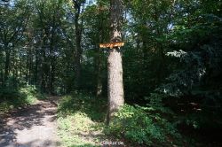 wuppertal-barmer-anlagen-042