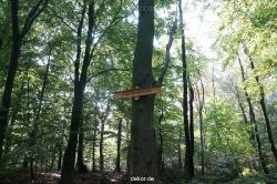 wuppertal-barmer-anlagen-043
