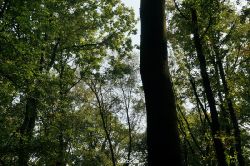 wuppertal-barmer-anlagen-045