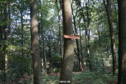 wuppertal-barmer-anlagen-050
