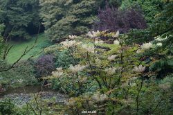 wuppertal-barmer-anlagen-073