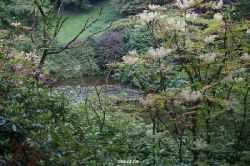 wuppertal-barmer-anlagen-074