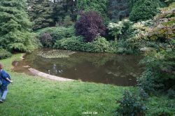 wuppertal-barmer-anlagen-076