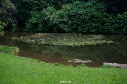 wuppertal-barmer-anlagen-084