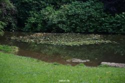 wuppertal-barmer-anlagen-085