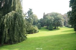wuppertal-barmer-anlagen-097