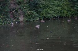 wuppertal-barmer-anlagen-112