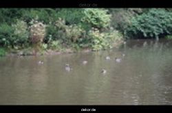 wuppertal-barmer-anlagen-126