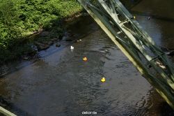 wuppertal-entenrennen-081