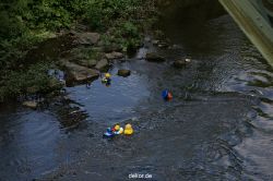 wuppertal-entenrennen-103