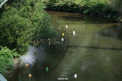wuppertal-entenrennen-105