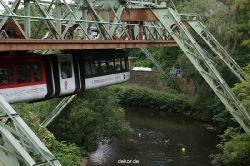 wuppertal-entenrennen-143