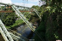 wuppertal-entenrennen-267