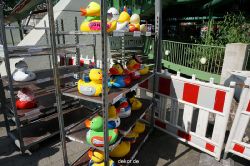 wuppertal-entenrennen-288