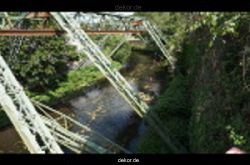 wuppertal-entenrennen-332