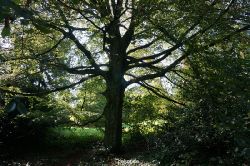 wuppertal-vorwerkpark-016