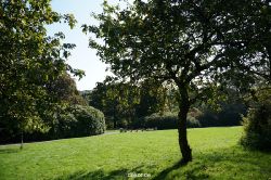 wuppertal-vorwerkpark-031