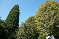 wuppertal-vorwerkpark-032