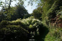 wuppertal-vorwerkpark-043