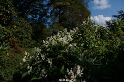 wuppertal-vorwerkpark-044