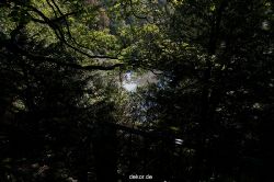wuppertal-vorwerkpark-047
